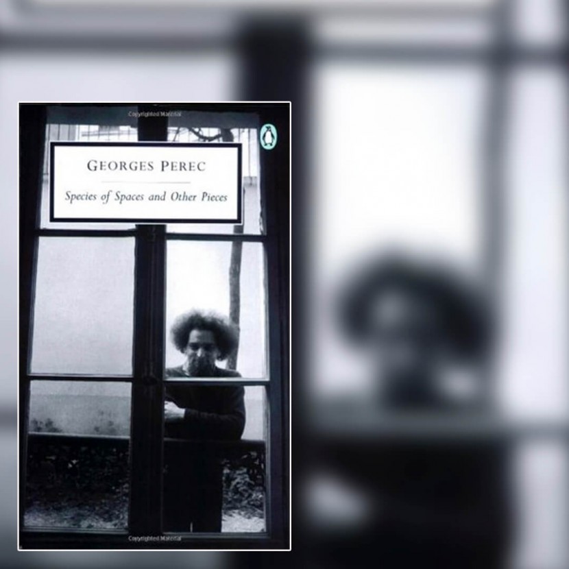 "Georges Perec. species of spaces and other places" book cover with a greyscale photograph of someone in a jumper and curly hair standing outside a window