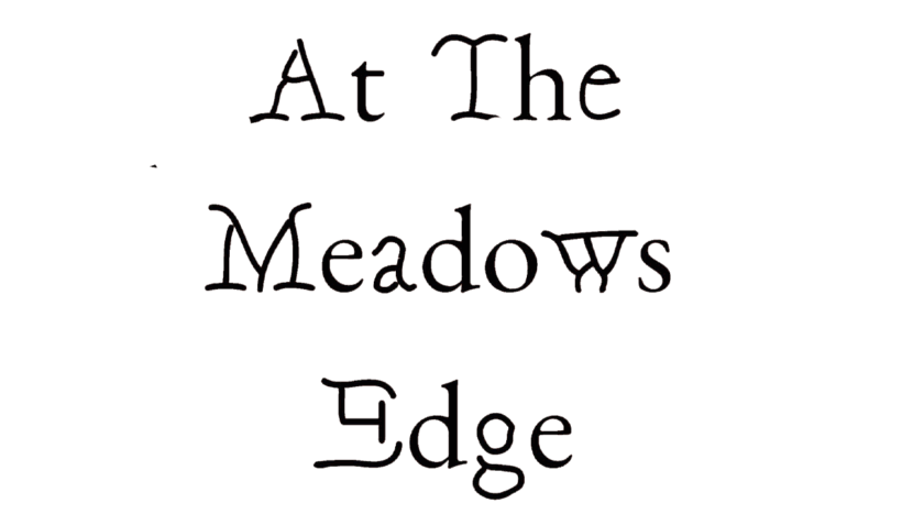 At The Meadow's Edge