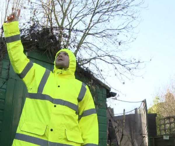 A white man in a neon yellow jacket is standing in front of a green shed and pointing at the blue sky. There is a trampoline and a tree with no leaves behind the shed.