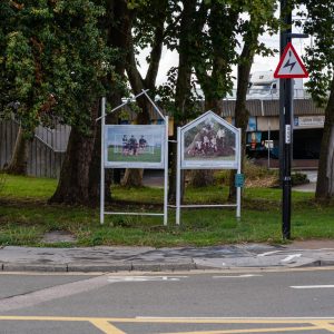 Fungus Press - Turf Projects - Cultural Field. Photo credit © Anne Tetzlaff (10)