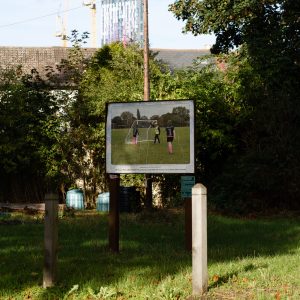 Fungus Press - Turf Projects - Cultural Field. Photo credit © Anne Tetzlaff (22)