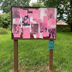 Fungus Press, Turf Projects - Queer Lives and Art - Mark Goldby + Sade Mica, Wandle Park