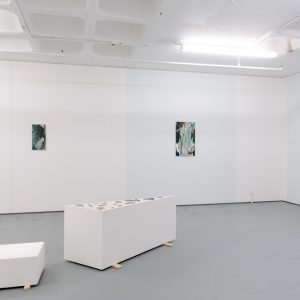 A range of illustrations being displayed on the wall with a table displaying more in the middle of the room
