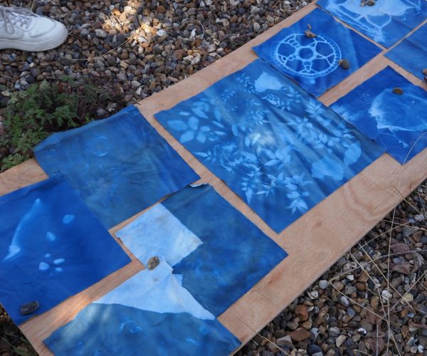 the participants cyanotypes laid out on wood board